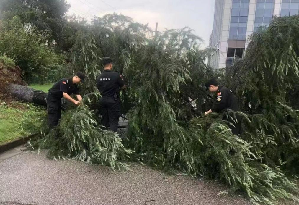 C:/Users/BA/Desktop/風雨過后南京保安迅速行動，恢復安“寧”面貌/1.jpg1
